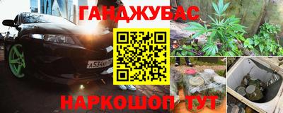 крисы Славгород