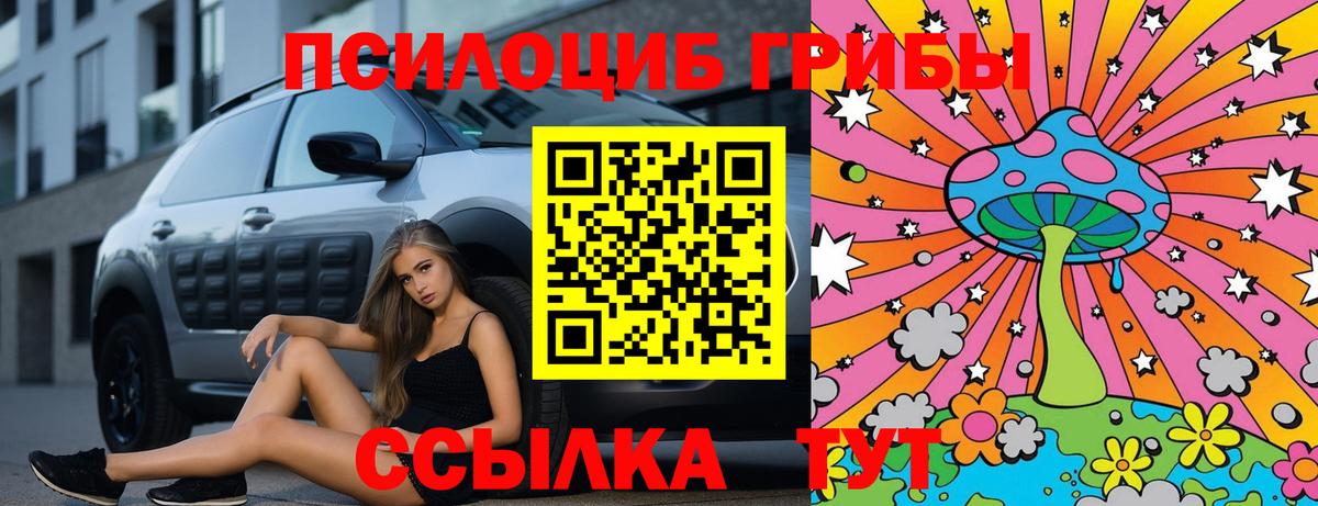 цены наркотик  Псилоцибиновые грибы ЛСД  Нижнеудинск  Вход с VPN  Галлюциногенные грибы ЛСД 